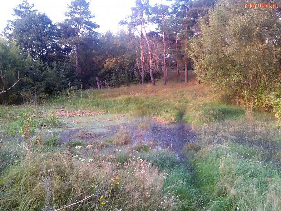 Курская область - Ловушка