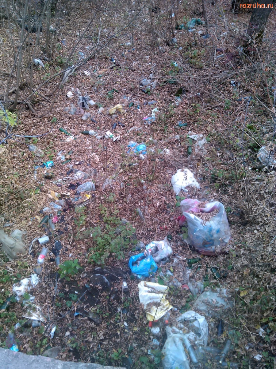 Курская область - Мусор вначале