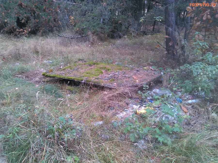 Курская область - Кинули и зарастает