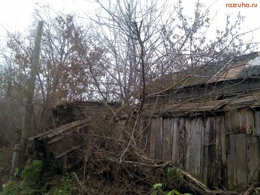 Курская область - Старые руины
