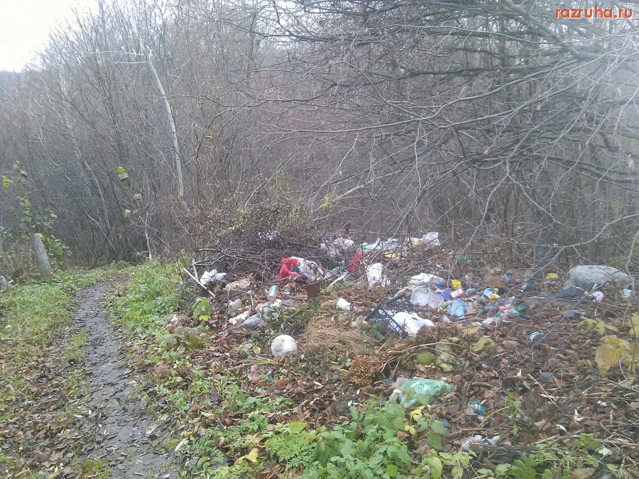 Курская область - Мусор у тропы