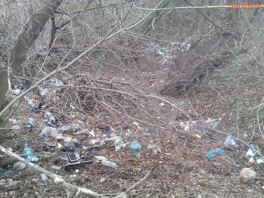 Курская область - Загаженный овраг