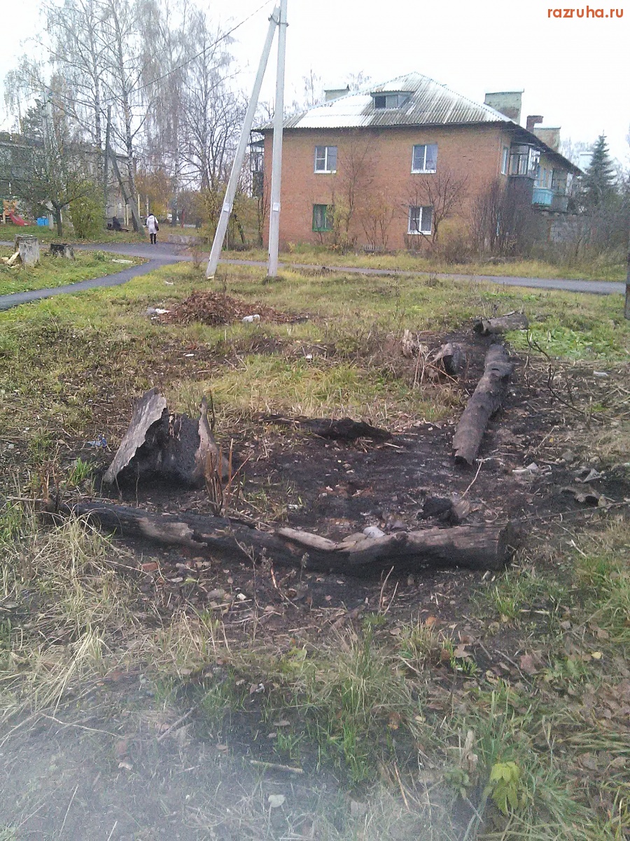 Курская область - Кострище