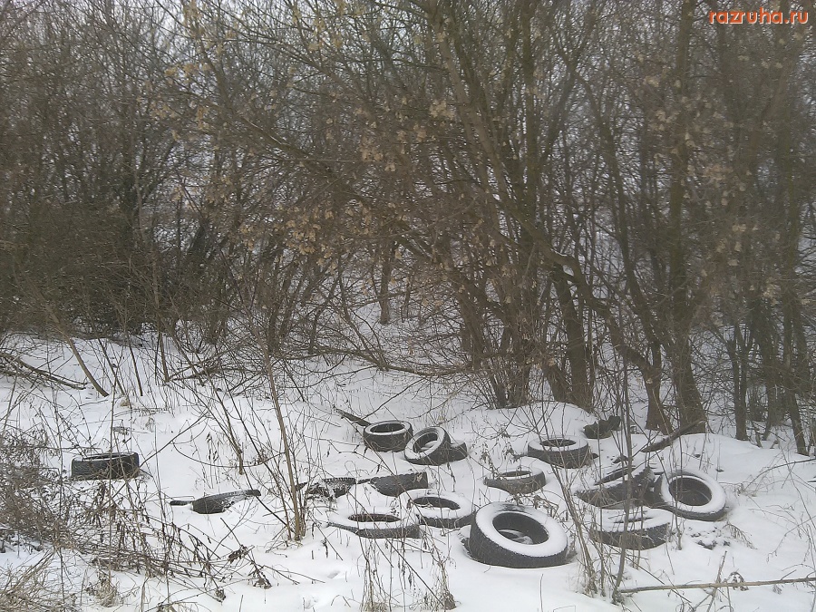 Курская область - Шины