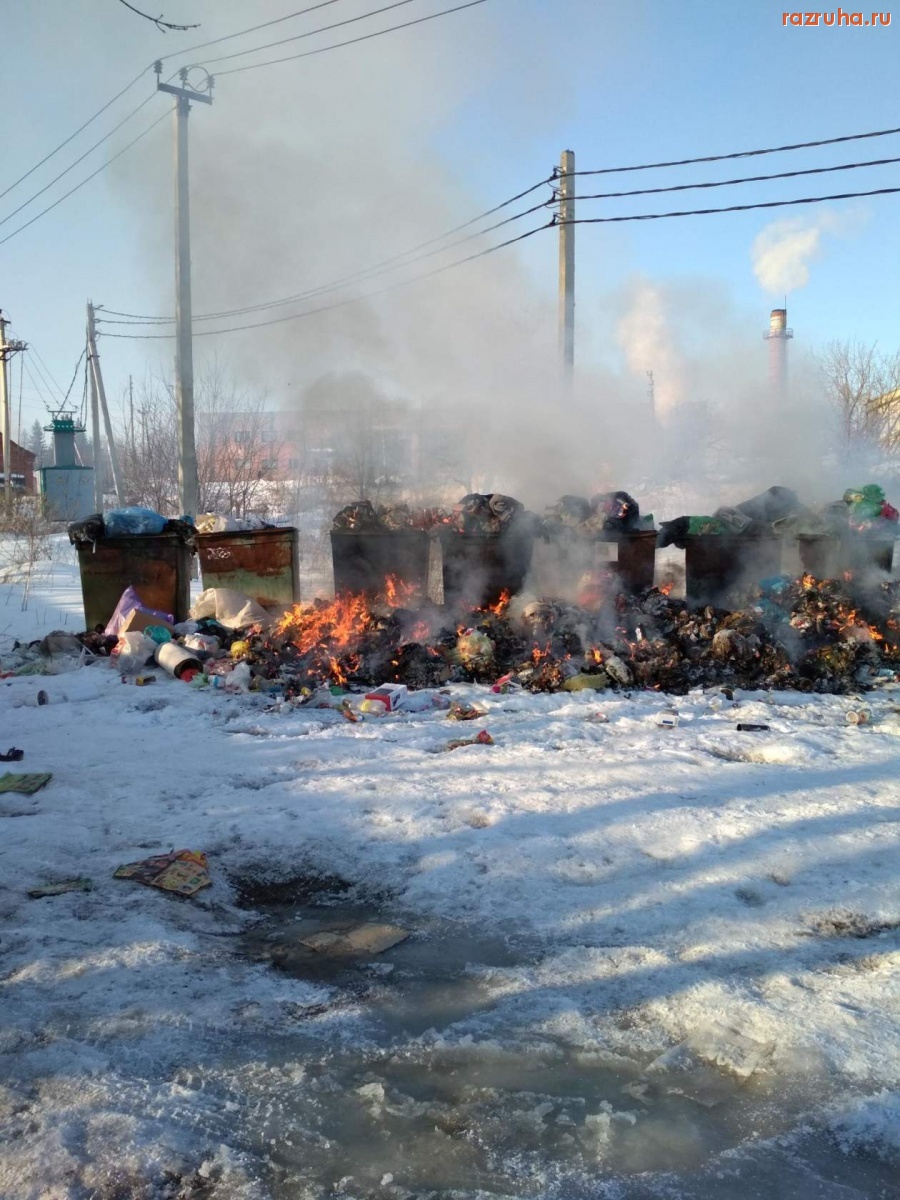 Курская область - Мусор в Сапогово не вывозят месяц