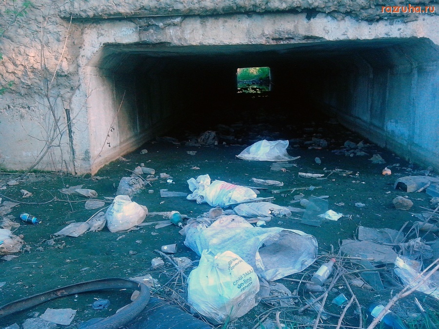 Курская область - Помойка под дорогой