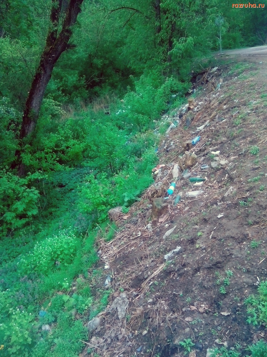Курская область - Мусор у обочины