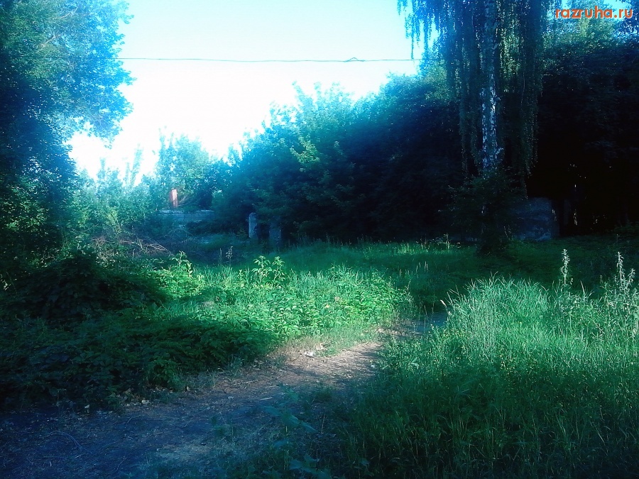 Курская область - Руины