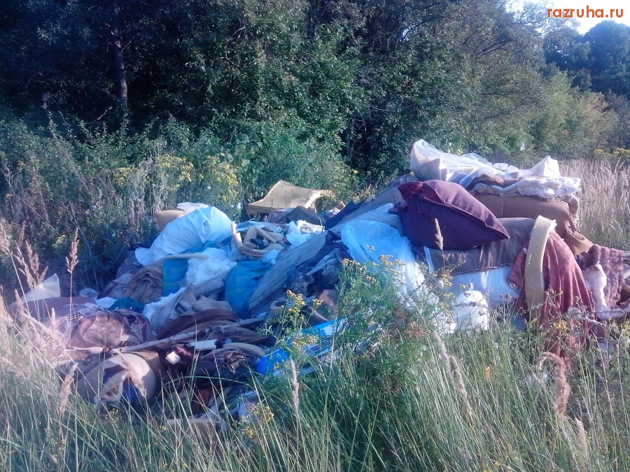 Курская область - Куча мусора