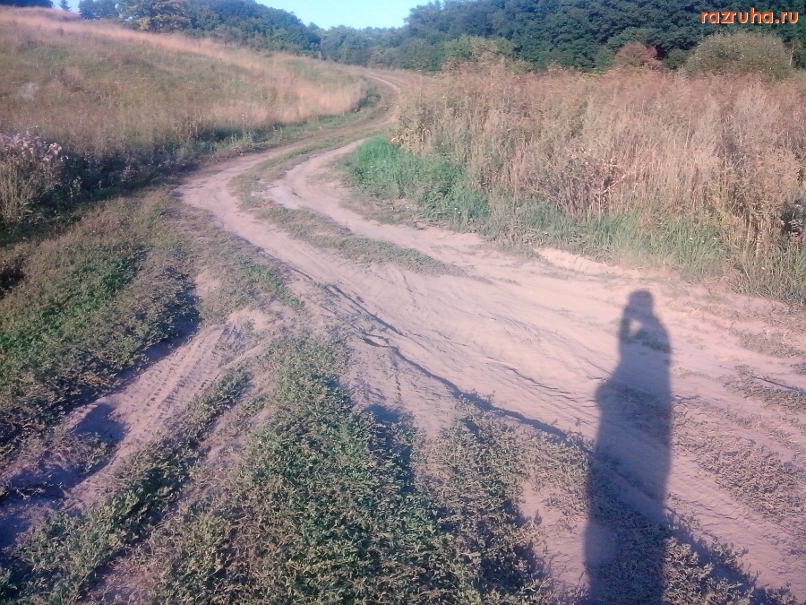 Курская область - Дорога