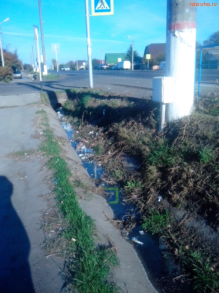 Курская область - Демонстрация свинства