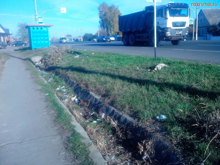 Курская область - Демонстрация свинства