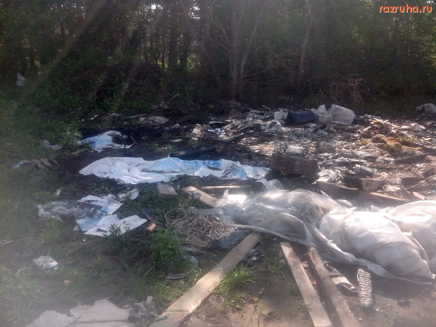 Курская область - Загадили