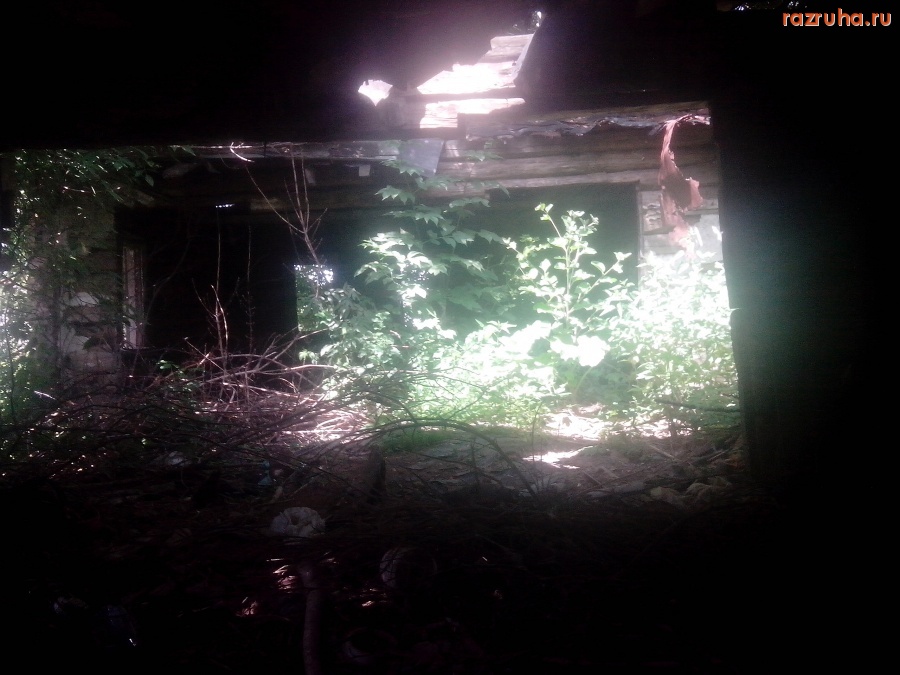 Курская область - В заброшенном доме