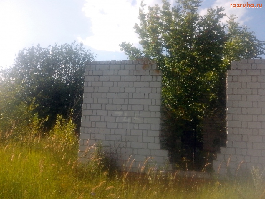 Курская область - Заброшенная дача