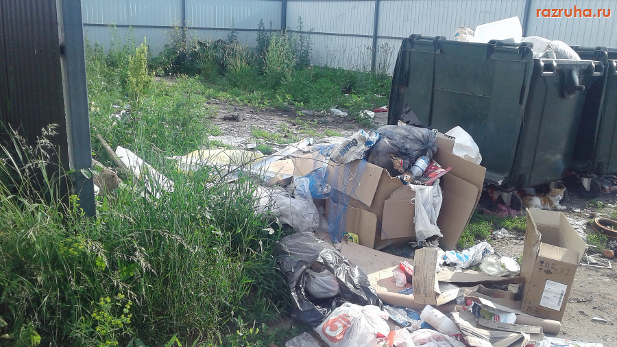 Курская область - Помойка у дороги