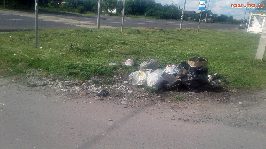 Курская область - Куча мусора
