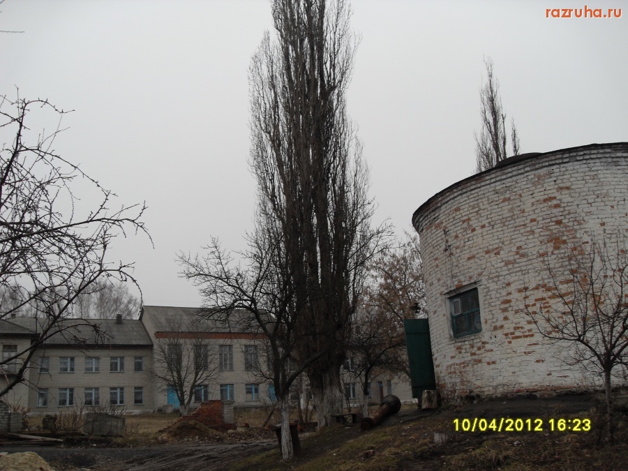 Рыльск - Тополь.