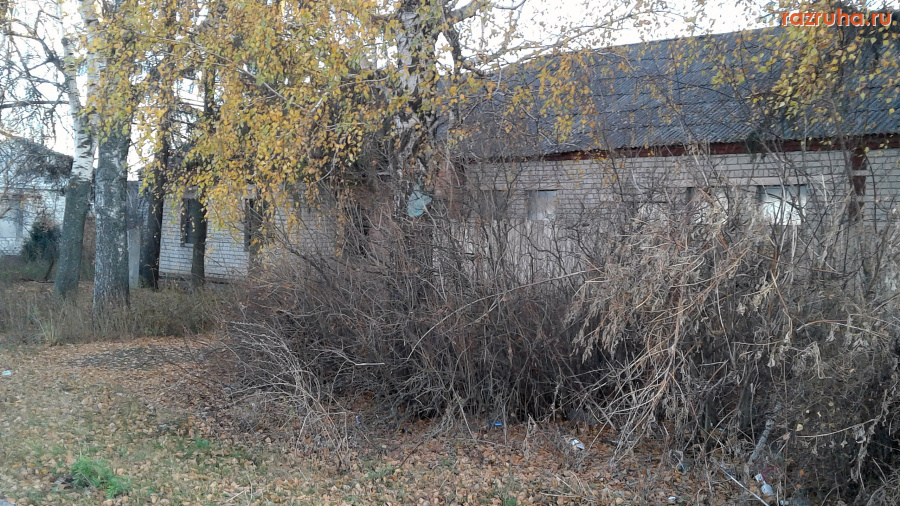 Прямицыно - Заглянем в окна