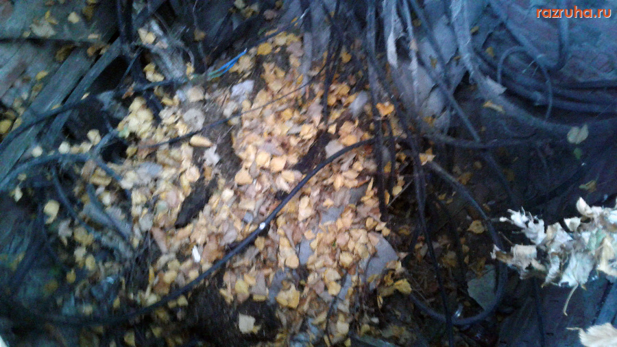 Прямицыно - Открытый люк