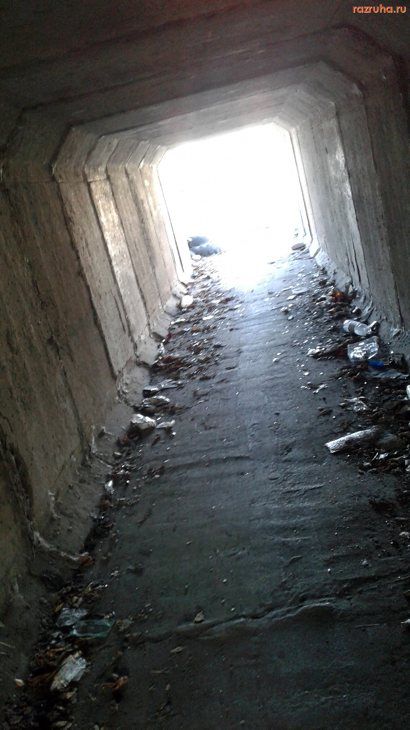 Прямицыно - Подземный переход