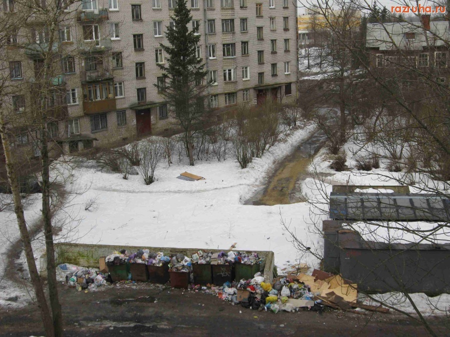 Гатчина - Цикл 