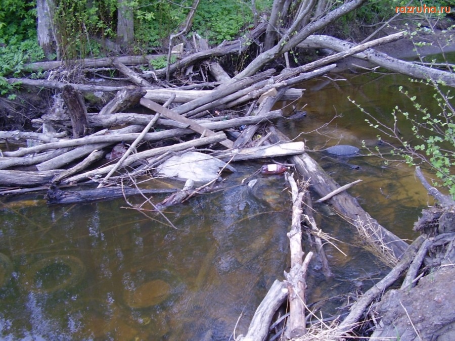 Кингисепп - Река-ручей Касолоновка