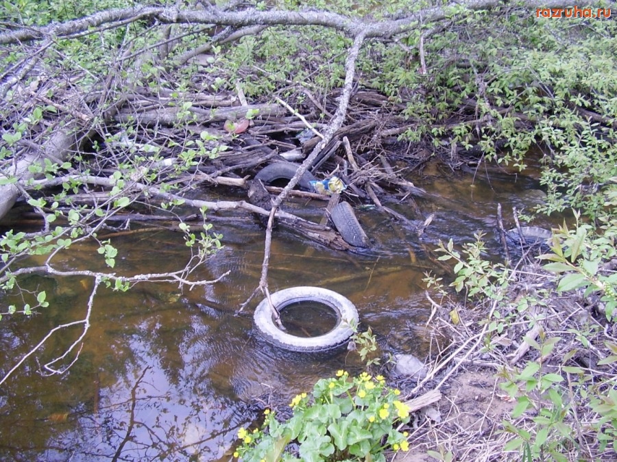 Кингисепп - Река-ручей Касолоновка