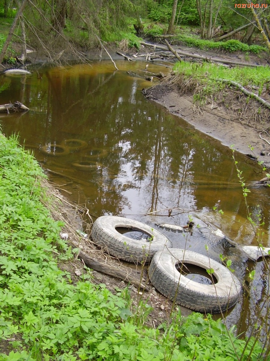 Кингисепп - Река-ручей Касолоновка