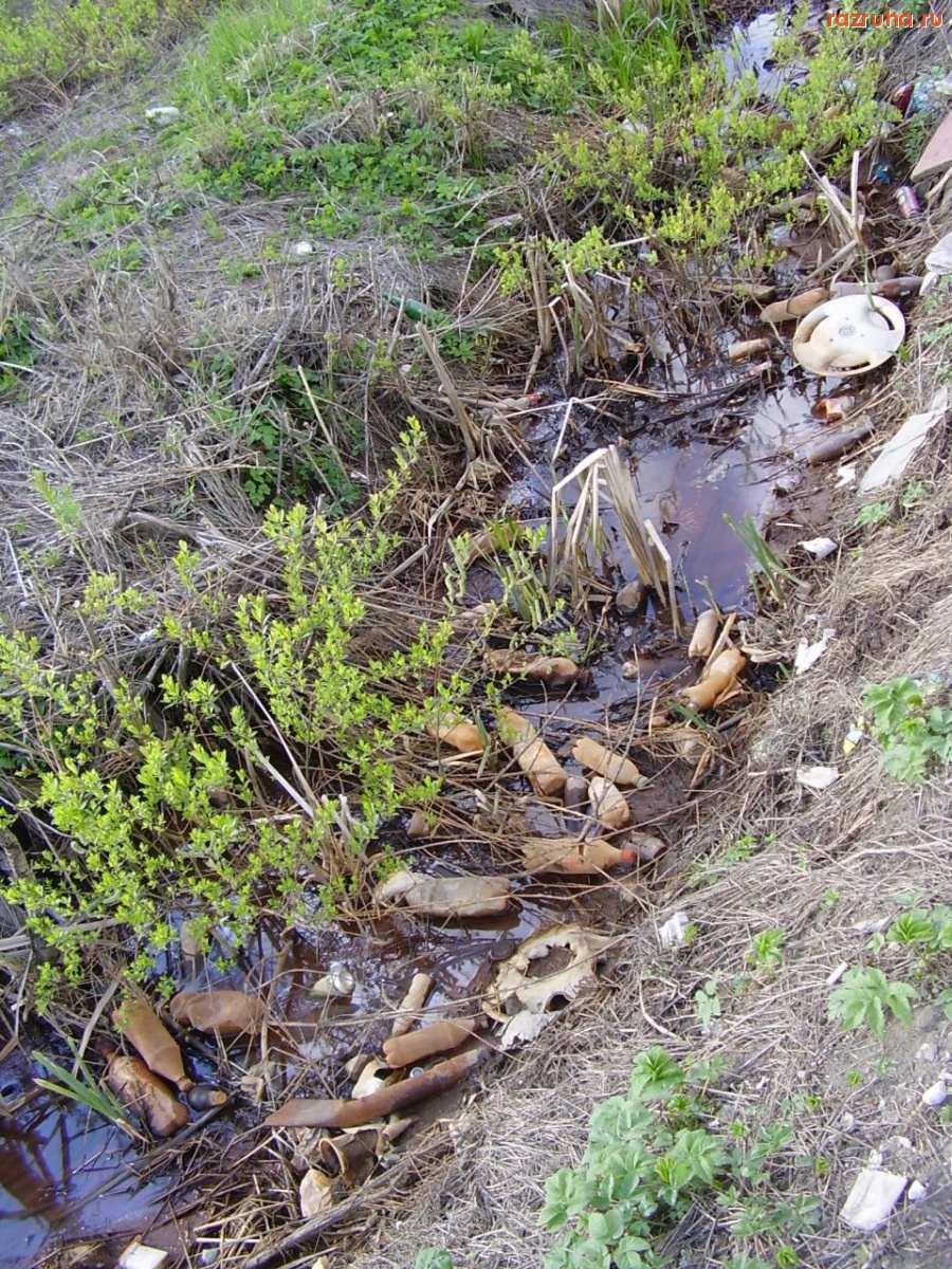 Кингисепп - Улица дорожников в г.Кингисепп