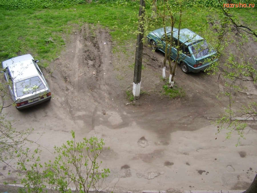 Кингисепп - Газоны во дворе