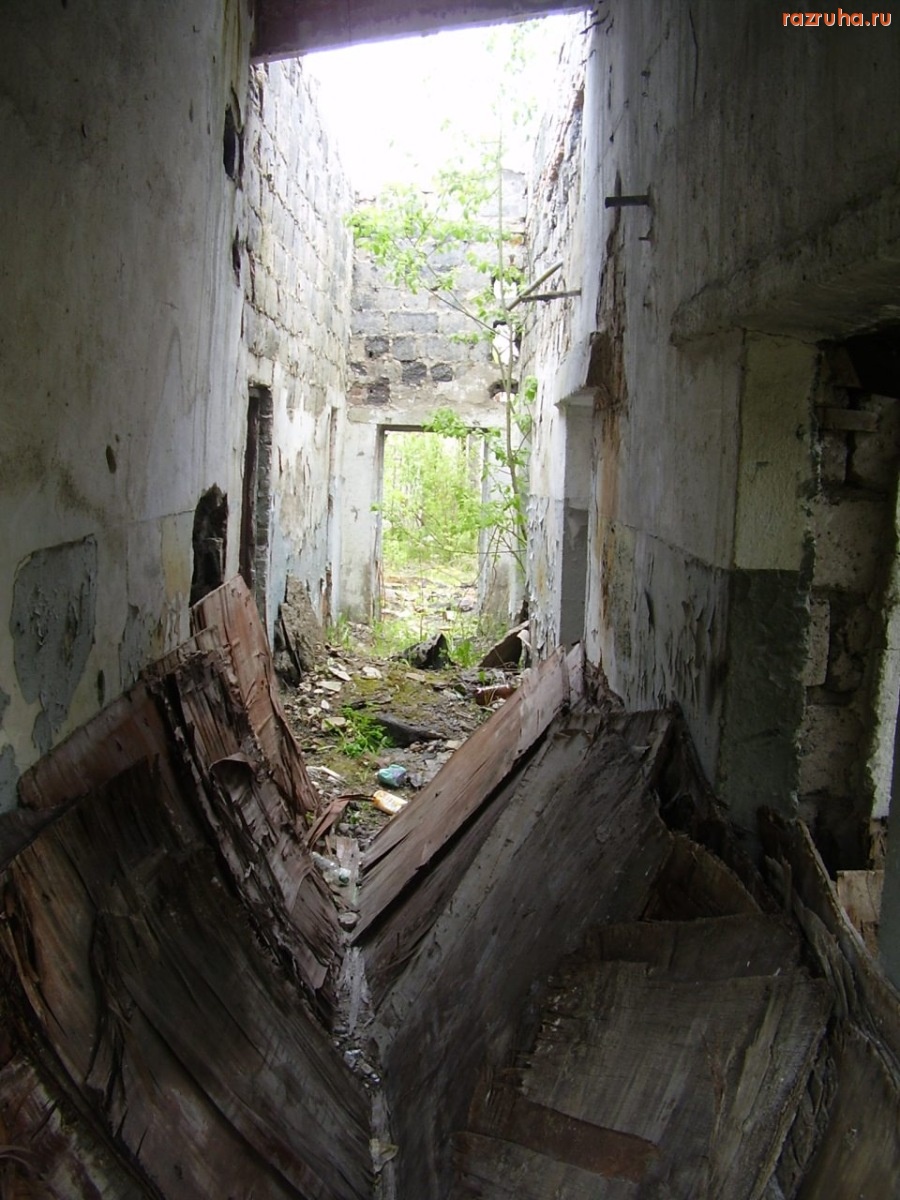 Кингисепп - Ферма крупного рогатого скота