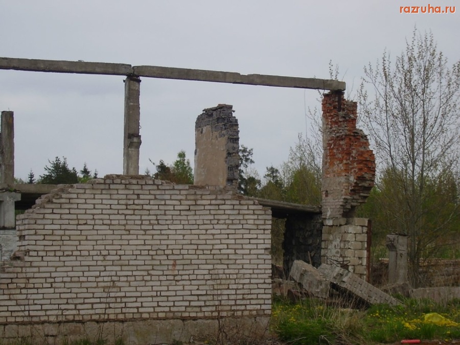 Кингисепп - Ферма крупного рогатого скота