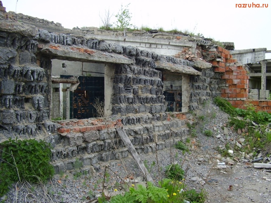 Кингисепп - Ферма крупного рогатого скота