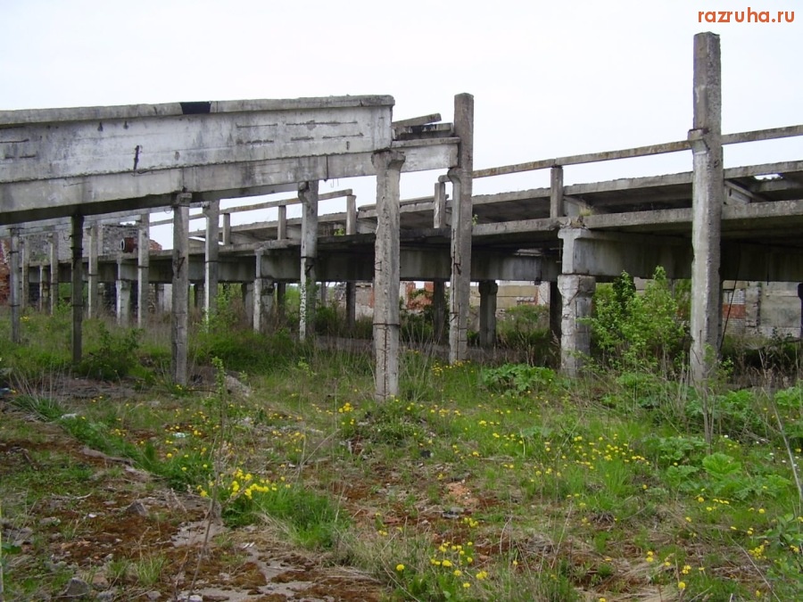 Кингисепп - Ферма крупного рогатого скота