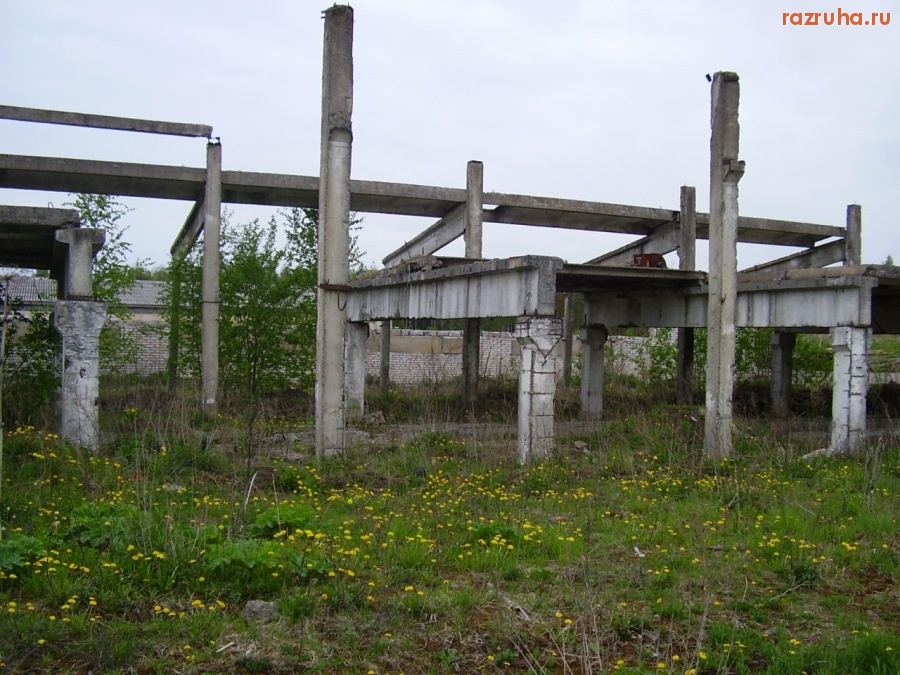 Кингисепп - Ферма крупного рогатого скота