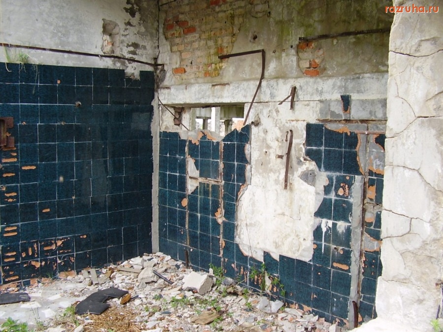 Кингисепп - Ферма крупного рогатого скота