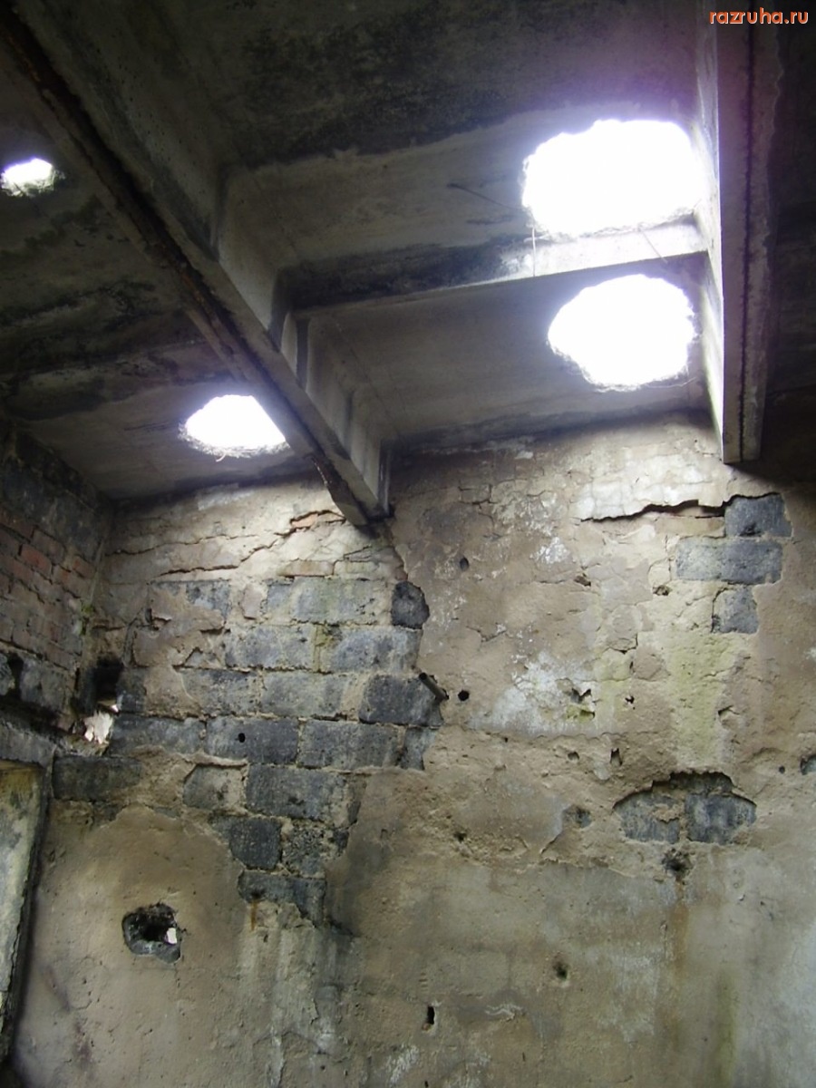 Кингисепп - Ферма крупного рогатого скота