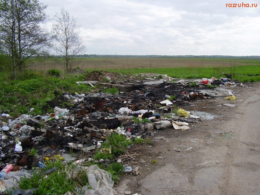 Кингисепп - Поле