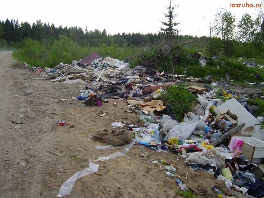 Кингисепп - Придорожная свалка