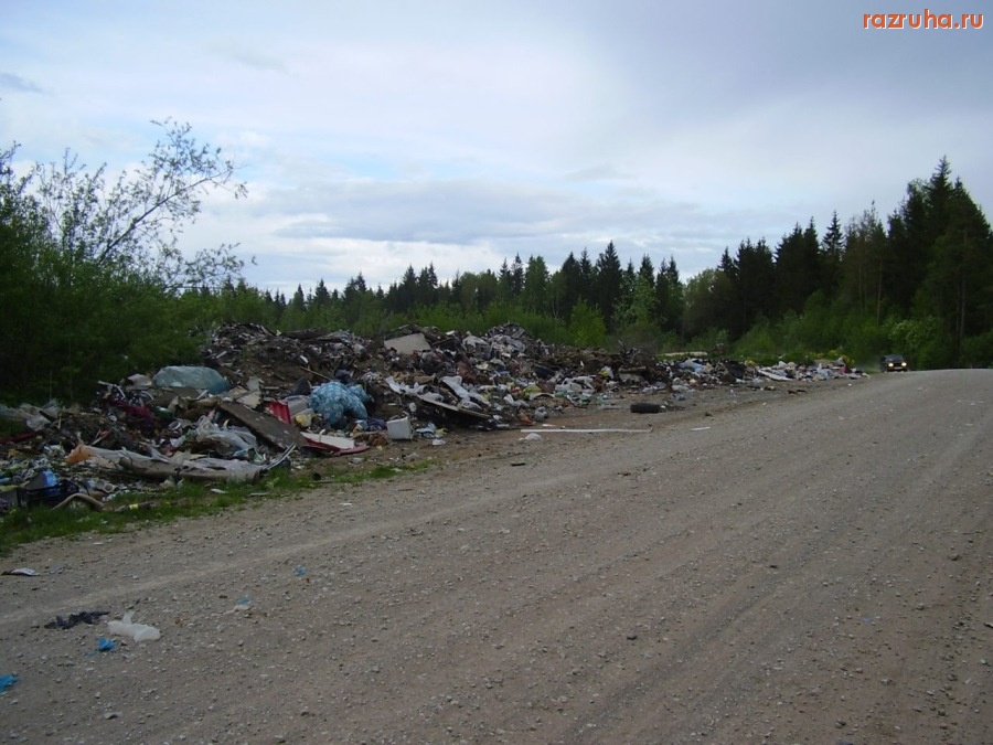 Кингисепп - Придорожная свалка