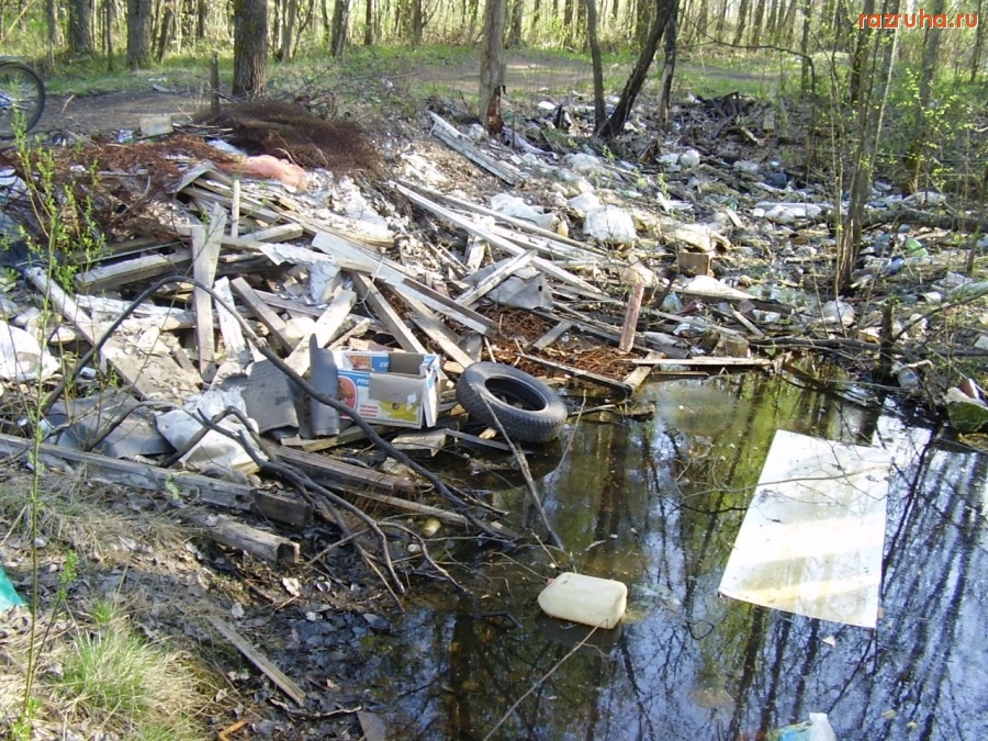 Кингисепп - Свалка на окраине Кингисеппа