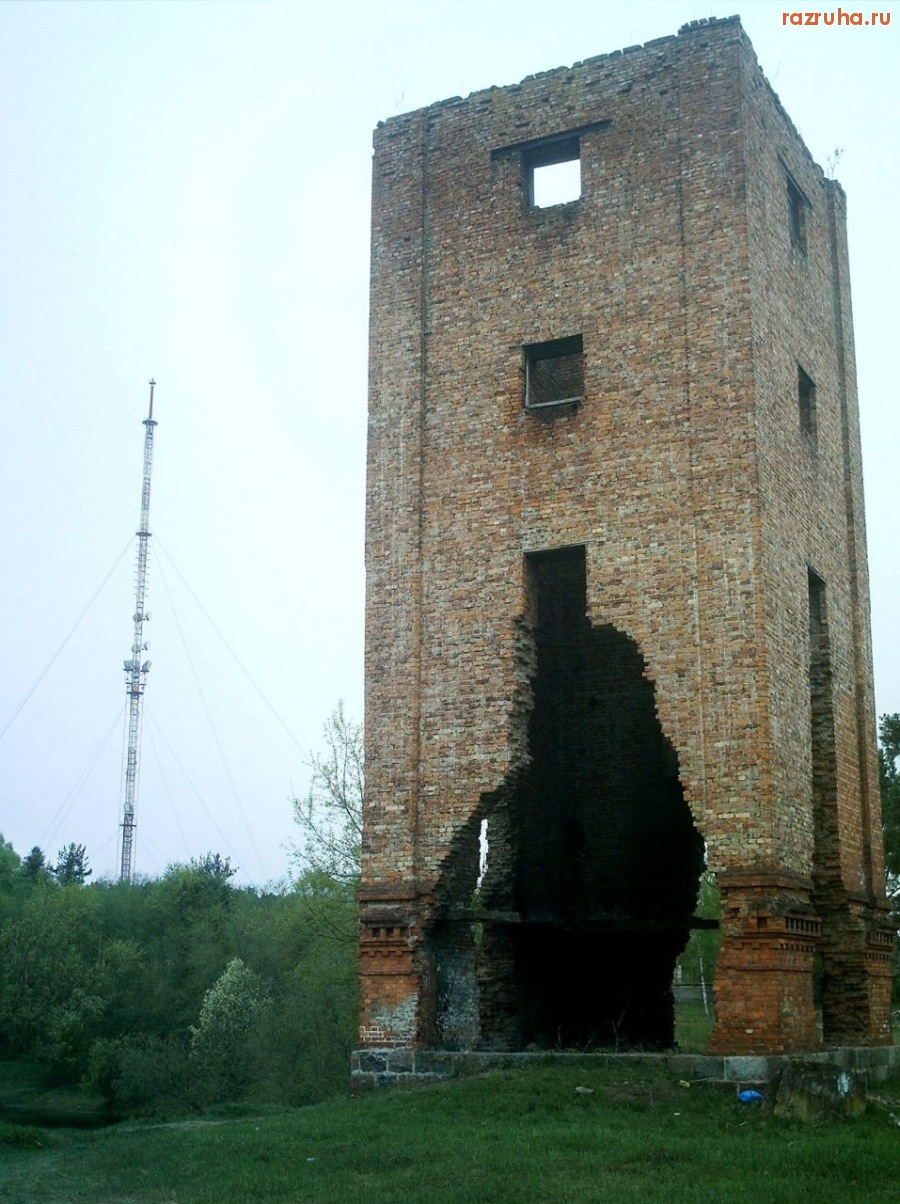 Луга - На берегу реки Луги