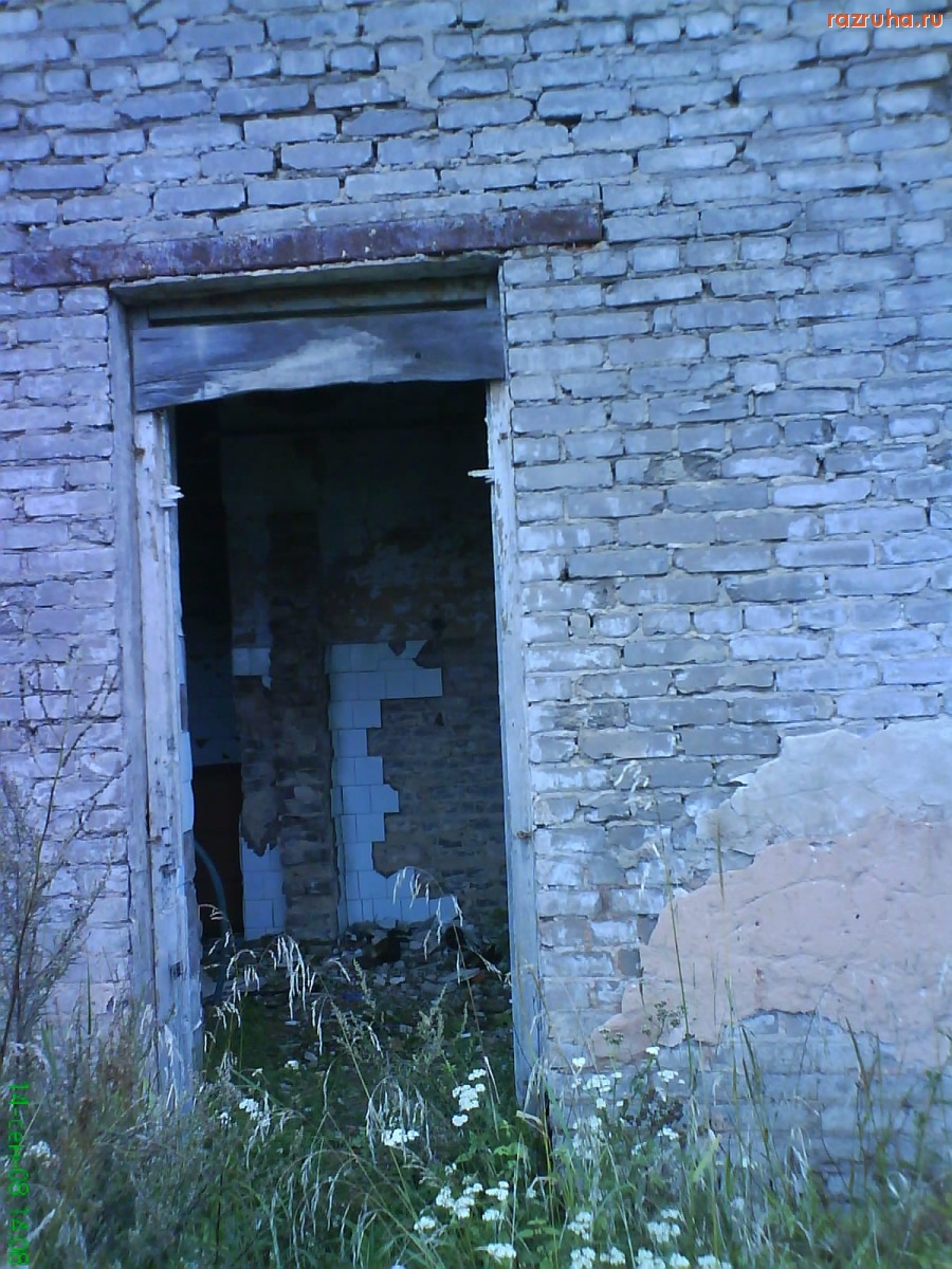 Луга - Остатки молочного завода в поселке Осьмино