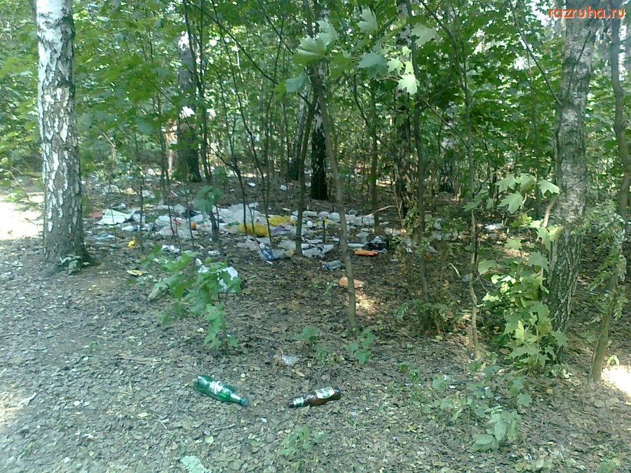 Малаховка - Пляж на Малаховском озере