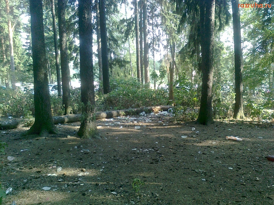 Малаховка - Пляж на Малаховском озере