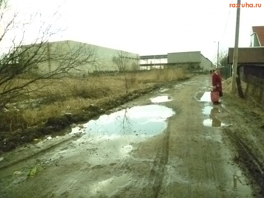 Отрадное - Отрадное, Лесной переулок