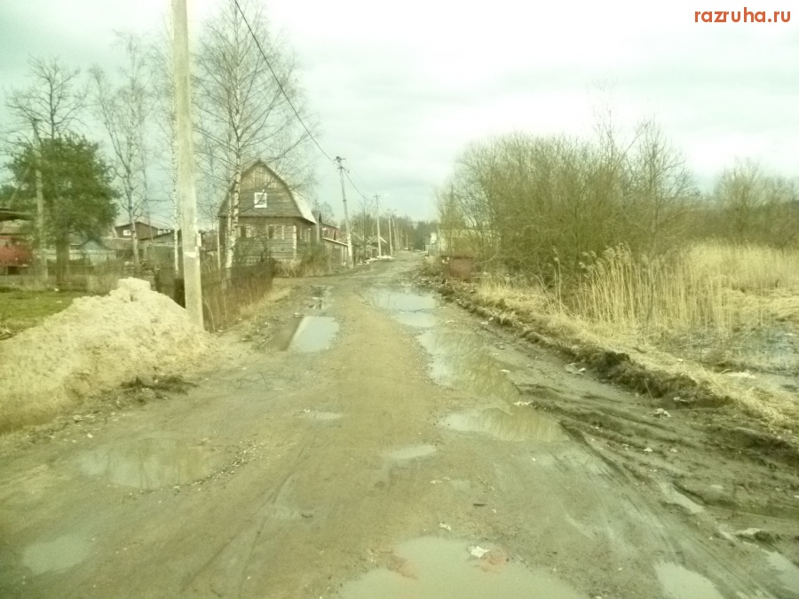 Отрадное - Отрадное, Начало 6-ой линии от Лесного переулка