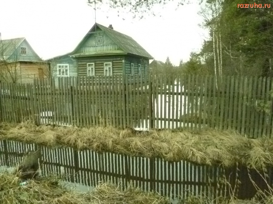 Отрадное - Отрадное, 6-ая линия