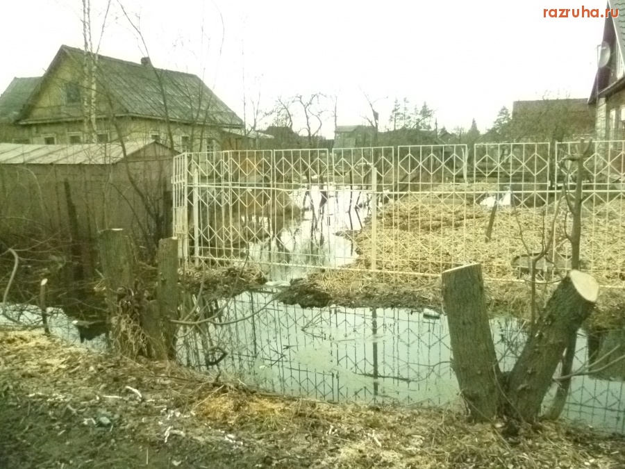 Отрадное - Отрадное, 6-ая линия